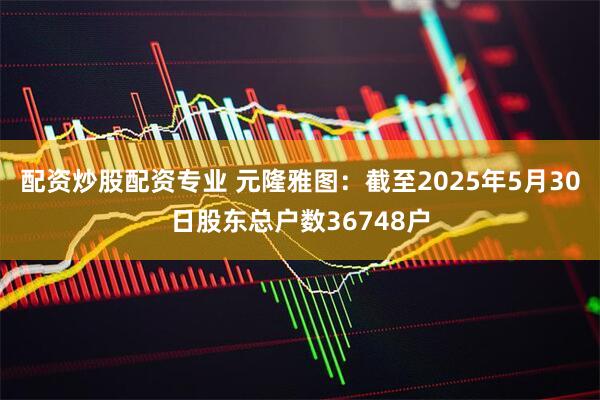 配资炒股配资专业 元隆雅图：截至2025年5月30日股东总户数36748户